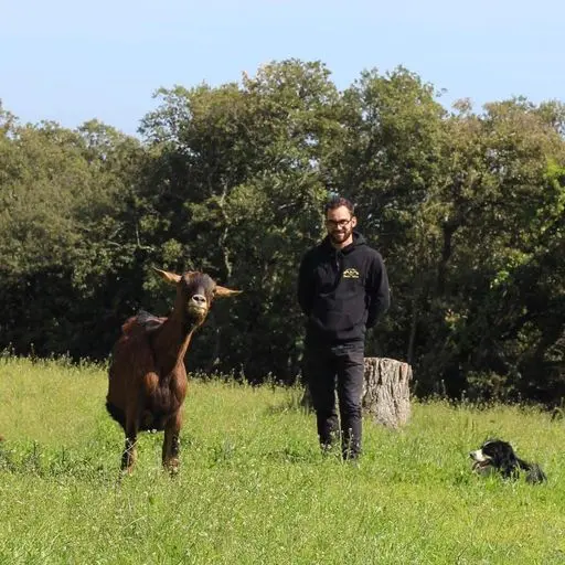 La ferme de la Bastide de Solliès