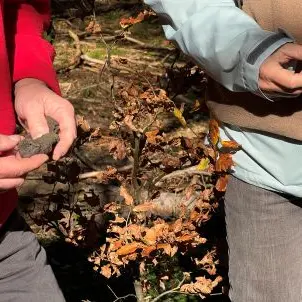 Sortie sur les traces des charbonnières et du fer_Présilly