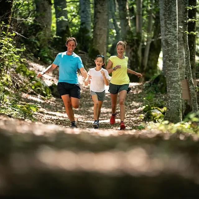Expérience trail
