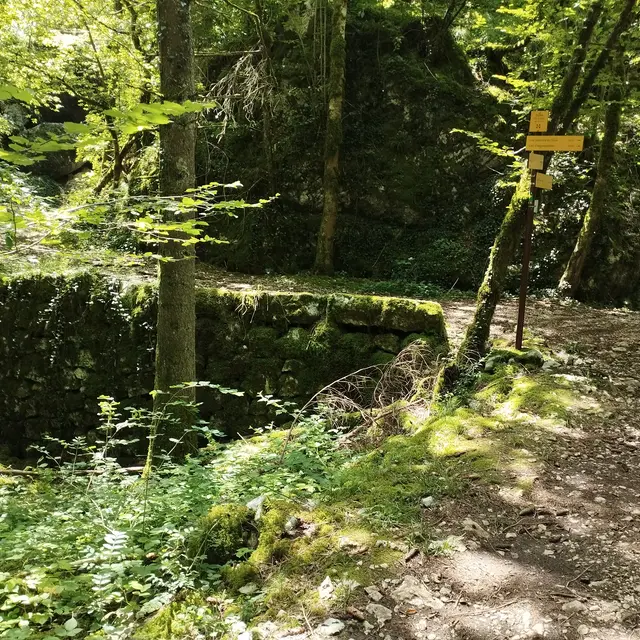 Sentier La grotte du loup