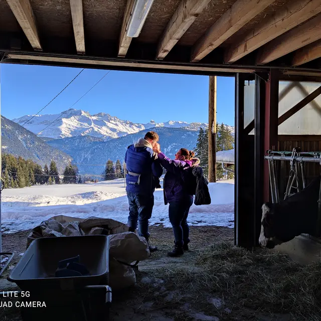 Visite dans l'étable