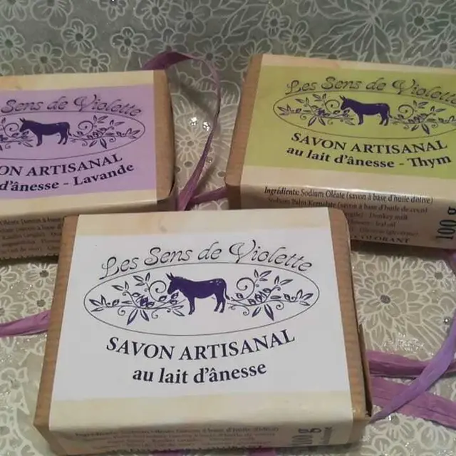 Les Sens De Violette