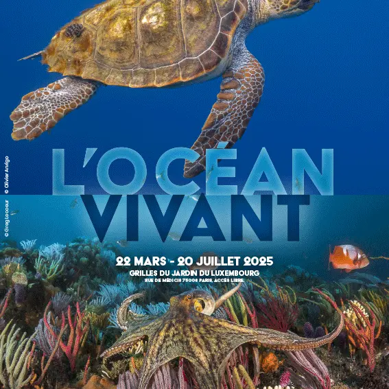 L'océan vivant_Nice