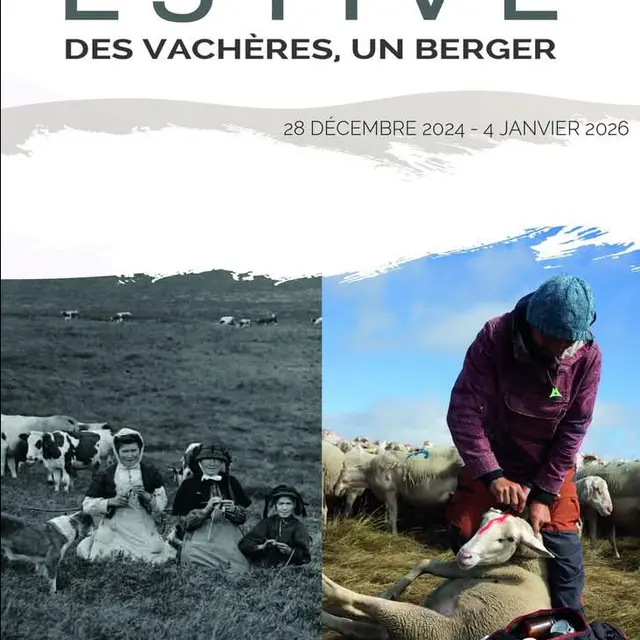 Estive. Des vachères, un berger, évolution des pratiques. - exposition_Usson-en-Forez