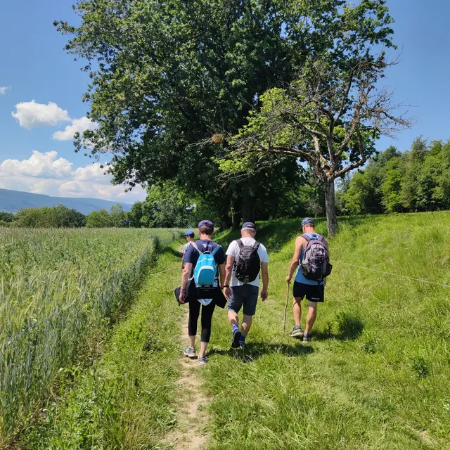 Sentier de la Pomme