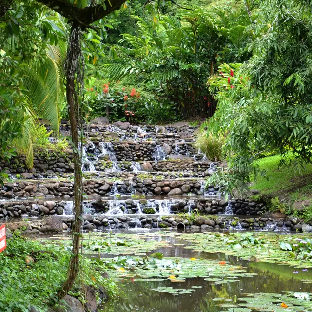 Jardins d'eau de vaipahi - Tahiti Tourisme