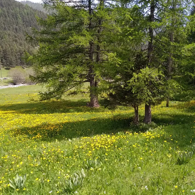 Randonnée pédestre - Boucle de Peyrafique_Tende