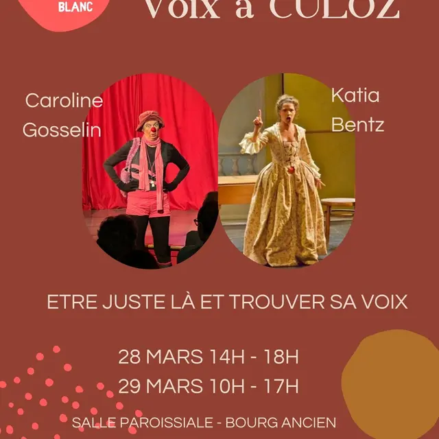 Stage clown et voix_Culoz-Béon