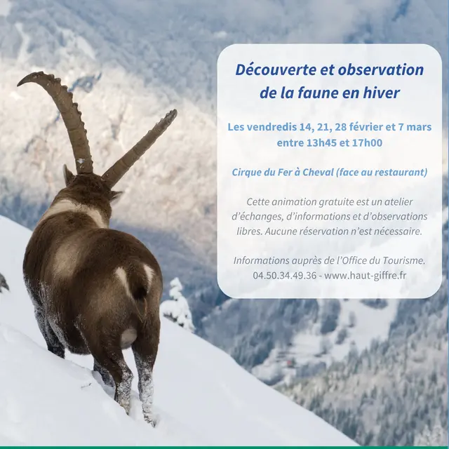 Animation Les animaux face à l'hiver_Sixt-Fer-à-Cheval