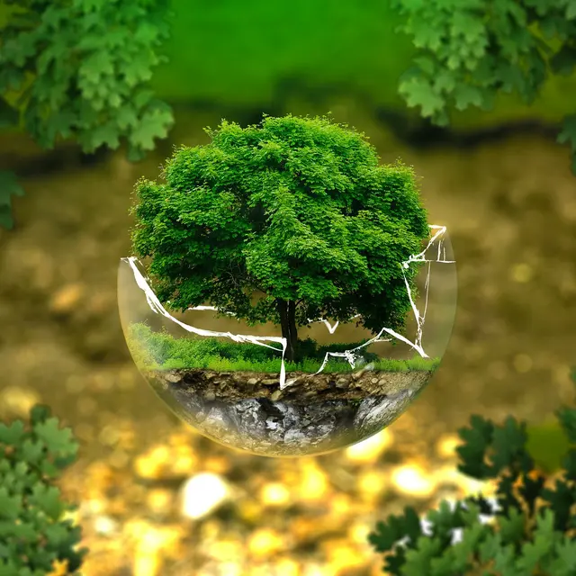 Ateliers : Biodiversité en danger, du constat à l’action_Châteauneuf-de-Galaure