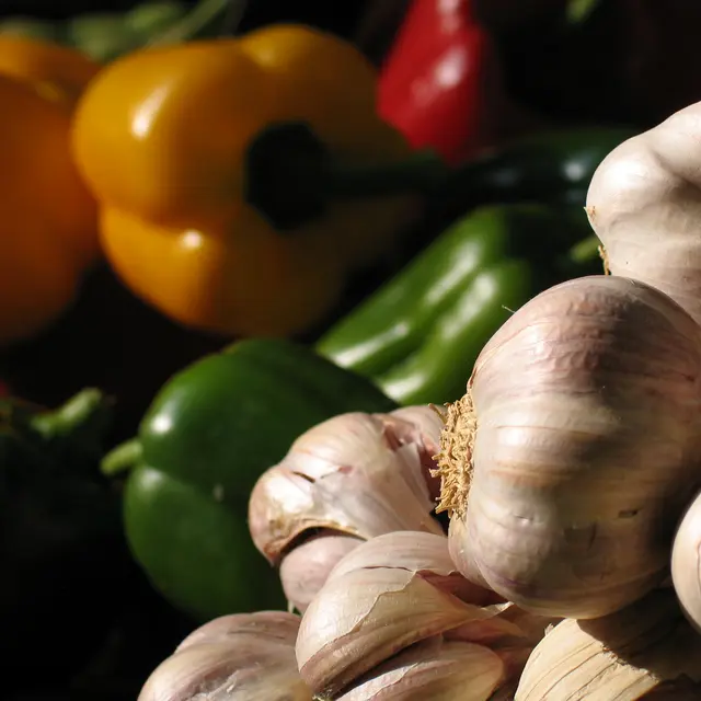 Marché de Courthézon_Courthézon