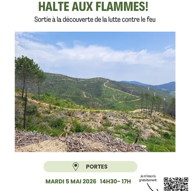 05-Affiche_halte aux flammes.jpg