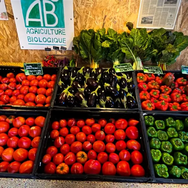 La ferme de Pepe_Forcalqueiret