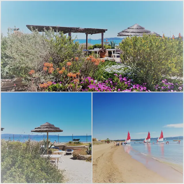 Au Grand Sud Hyères