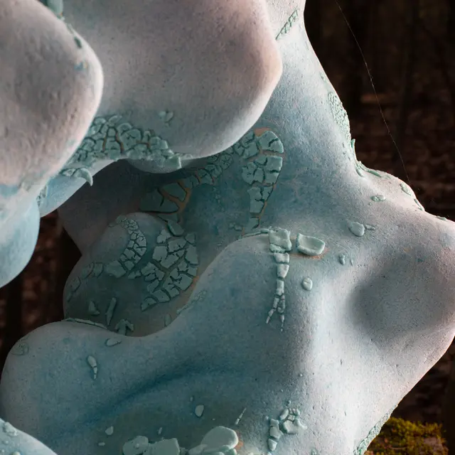 Installation céramique : Aquam Requiem_Villages du lac de Paladru