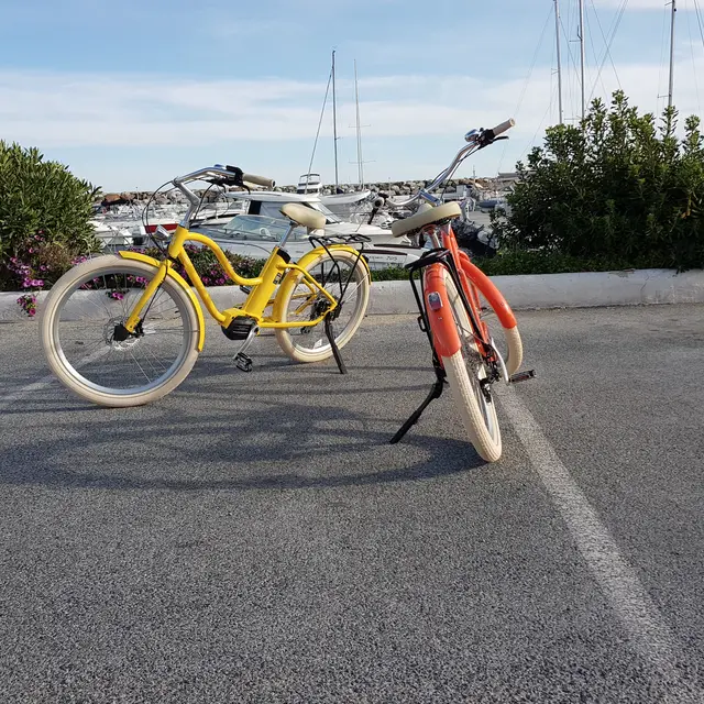Location vélos électriques