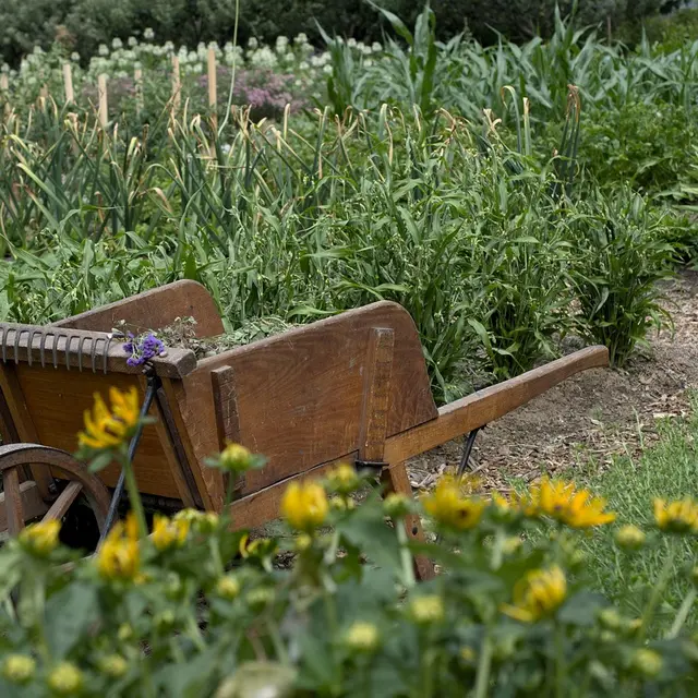 Conférence - Jardins nourriciers, des bastides et campagnes du XVIIIe siècle aux jardins urbains d’aujourd’hui_Le Beausset