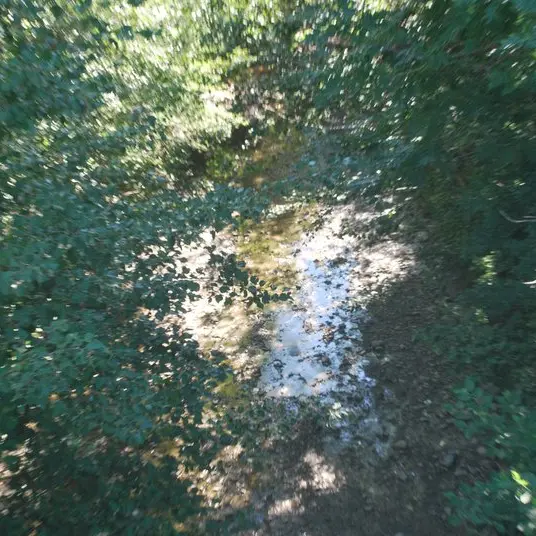 Le torrent de la Channe