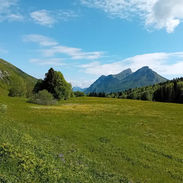 Double ZH : Zones Humides, Zones (H)importantes I Rendez-vous Nature en Savoie_Aillon-le-Jeune