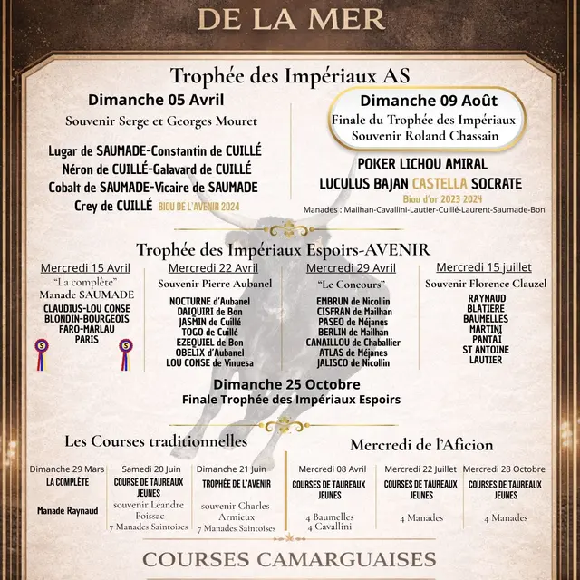 Course camarguaise de Taureaux Jeunes_Saintes-Maries-de-la-Mer