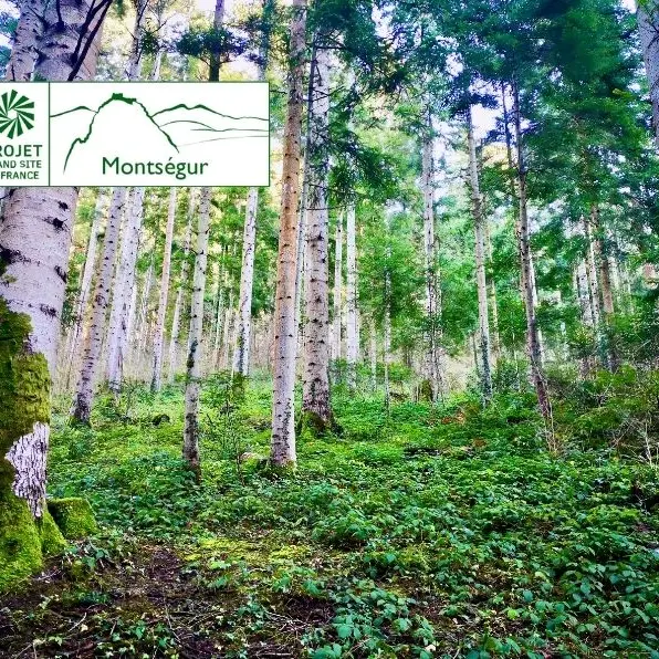 Foret