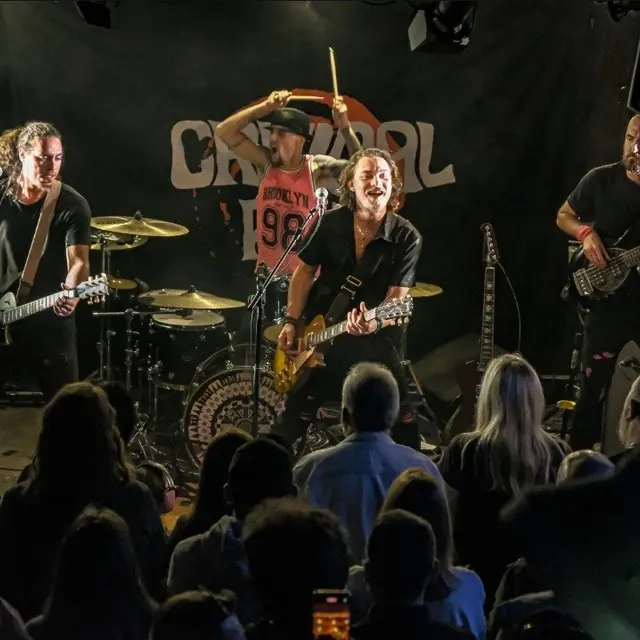 Critical Pint live Brin de Zinc