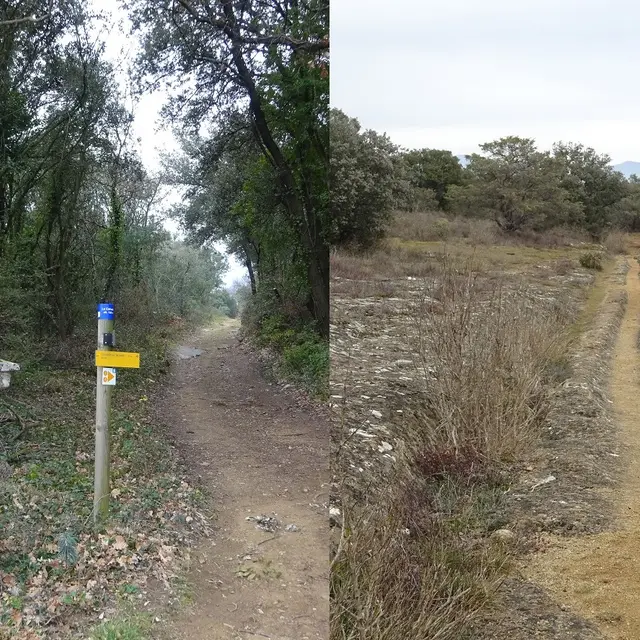 Circuit 8 La Voie Romaine