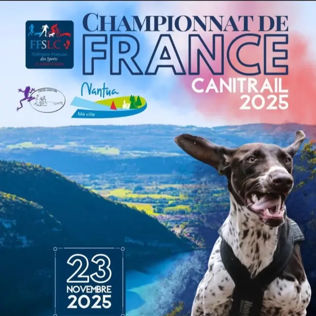 Championnat de France Canitrail_Nantua