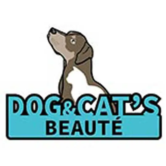 Dog and cat's beauté 1