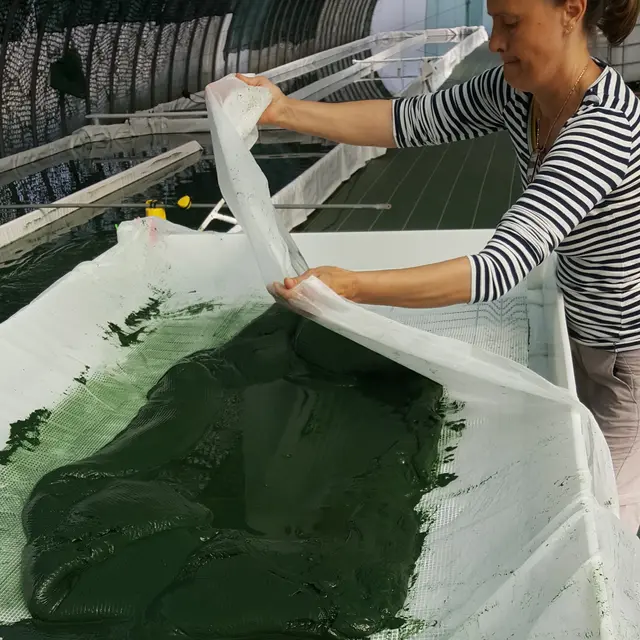 Spiruline De Ners - NERS