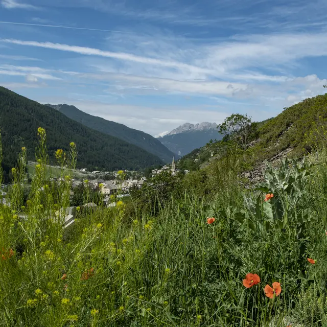 Là-haut, un petit paradis en gravel_Aiguilles