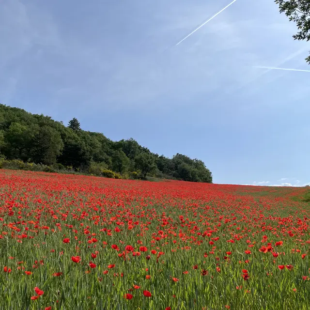 Trail des trois chapelles