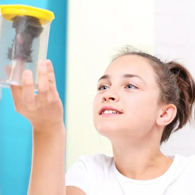 Atelier ALTEC (9-11 ans) - Défi sciences_Bourg-en-Bresse