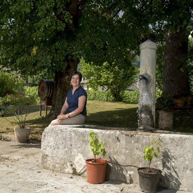 Domaine de Méjane
