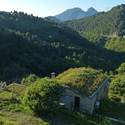 Col de Brouis - Roya.jpg