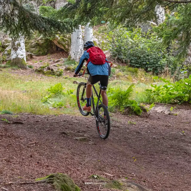 VTT en forêt