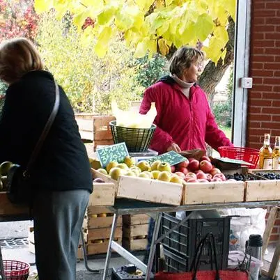 Marché couvert_Montech