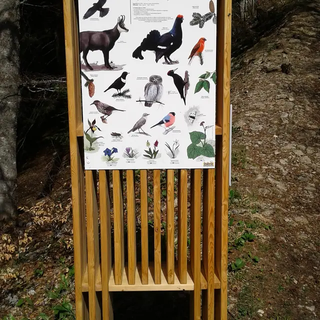 Panneaux pédagogiques