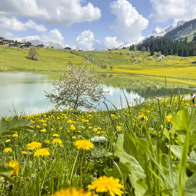Les Ascets_La Clusaz