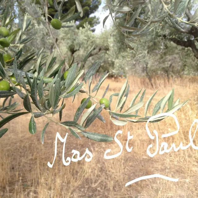 Mas Saint Paul