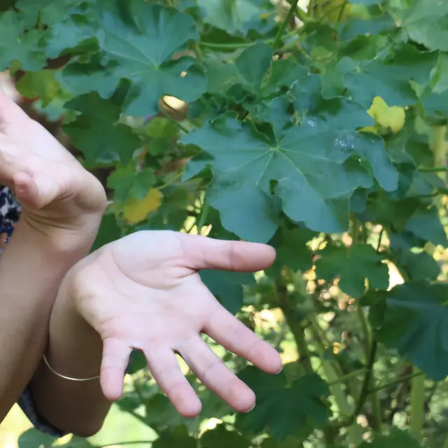 WEEK-END LANGUE DES SIGNES ET BOTANIQUE_Mane