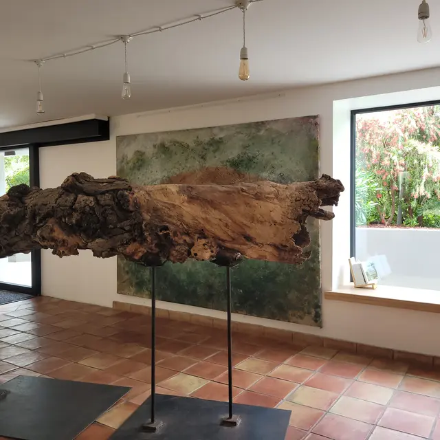 Exposition Art & Vin à Figuière - Naissance, Renaissance de la forêt par Vincent Lajarige, artiste peintre et sculpteur_La Londe-les-Maures