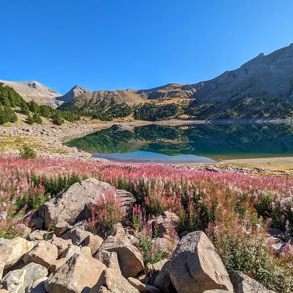 Biodiversité : connaître pour protéger_Allos