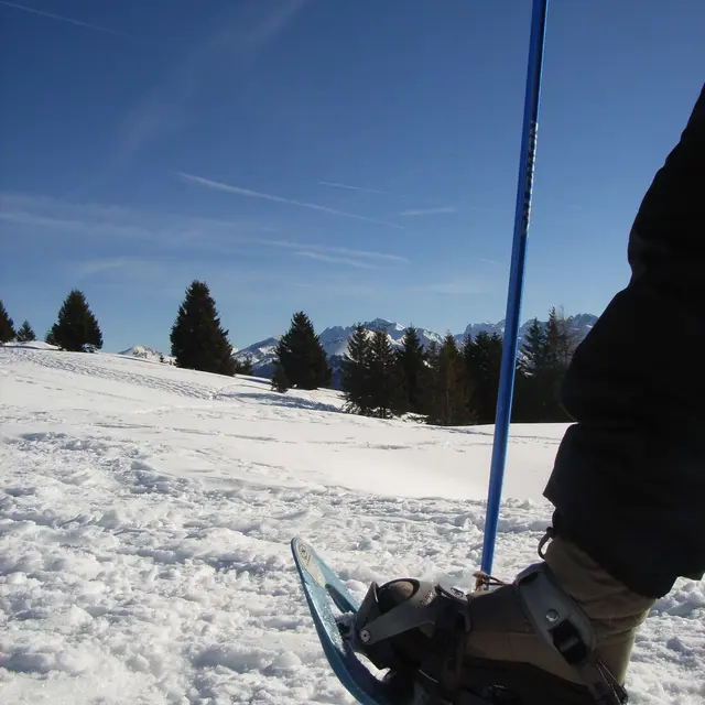 Raquette BAM Morzine