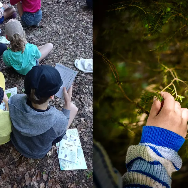 Atelier Nature en Famille La Forêt au Printemps - Semaine Famille +_Thônes