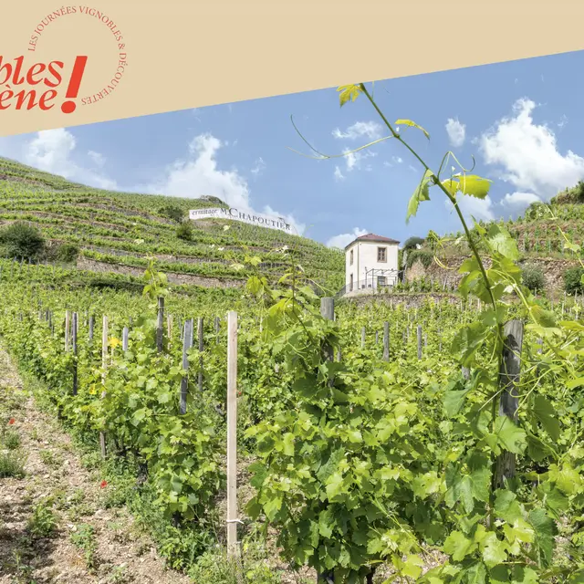 Découverte du vignoble en vélo à assistance électrique - Maison M. CHAPOUTIER_Tain-l'Hermitage