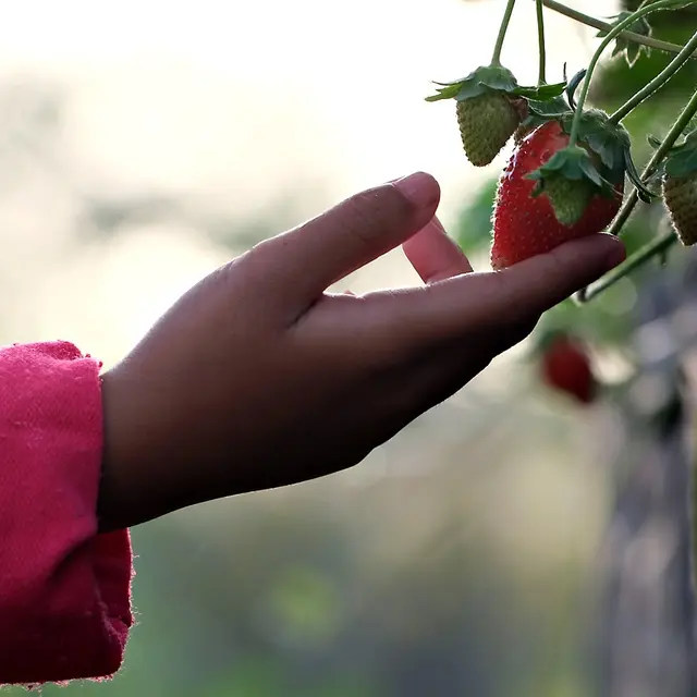 Atelier parcours des 5 sens (1-5 ans) - Nuits de la lecture_Bourg-en-Bresse