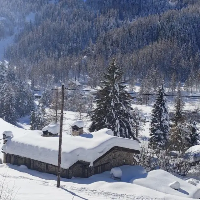 Randonnée raquettes à neige - Tour du Mont du Castel_Tende