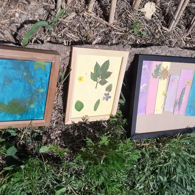 Atelier d'impression végétale : Anthotype, quand les légumes prennent des photos_Avignon
