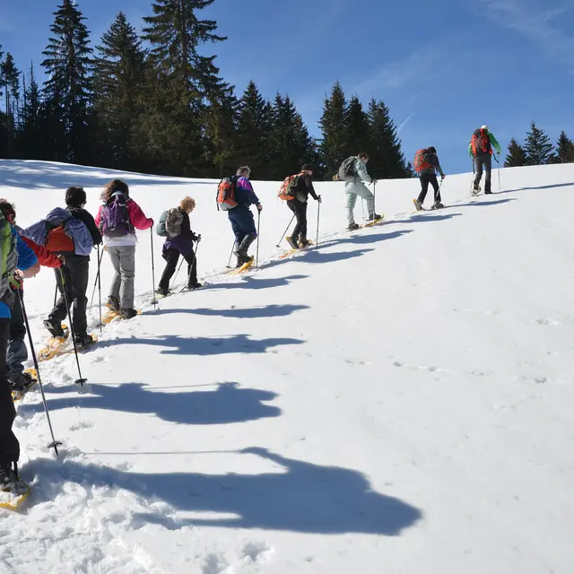 Rando raquettes journée en vallée d’Abondance_Abondance